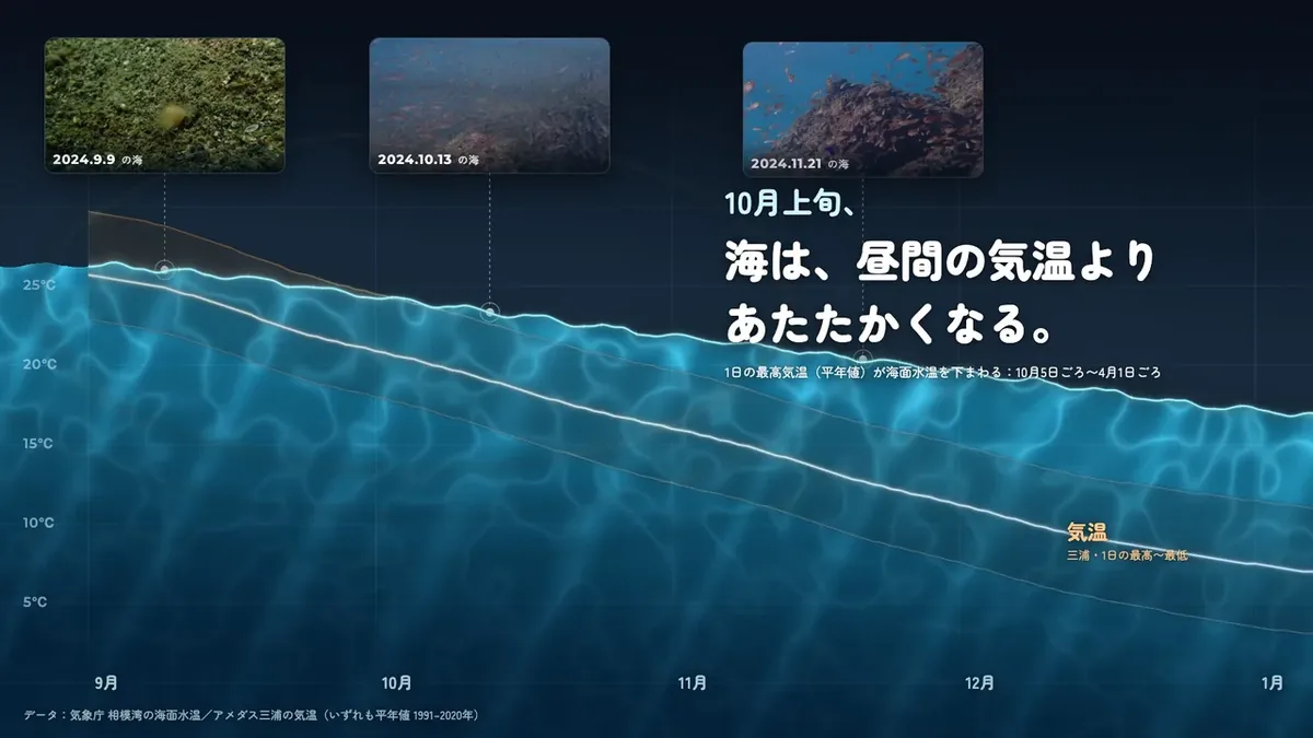 データシネマ「海の季節は、終わらない。」の一場面。水温の曲線が水面になっている